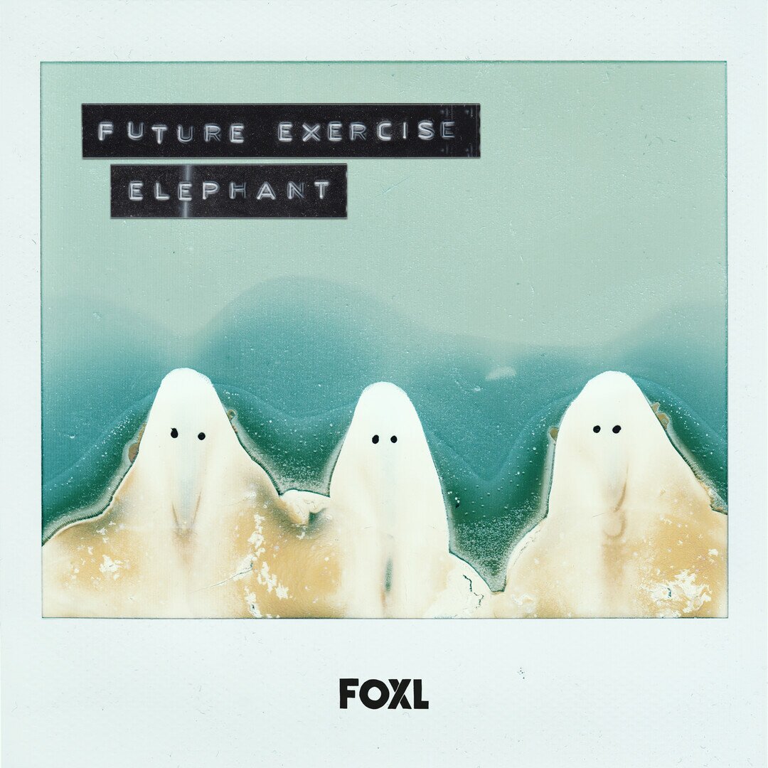 Foxl: Future Exercise Elephant